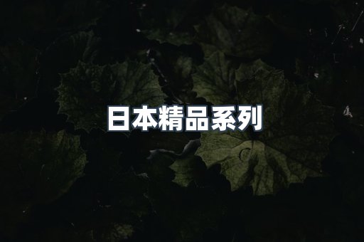 日本精品系列